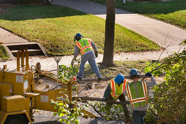 Best Lawn Irrigation Installation and Maintenance  in Dallas, TX
